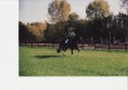 /album/les-chevaux/photos-patricia0003-jpg/